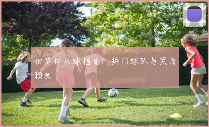 世界杯买球指南：热门球队与黑马预测