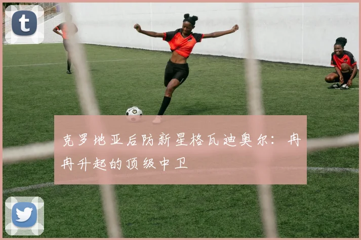 克罗地亚后防新星格瓦迪奥尔：冉冉升起的顶级中卫