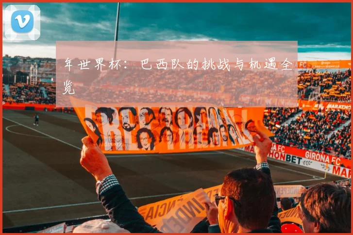年世界杯：巴西队的挑战与机遇全览