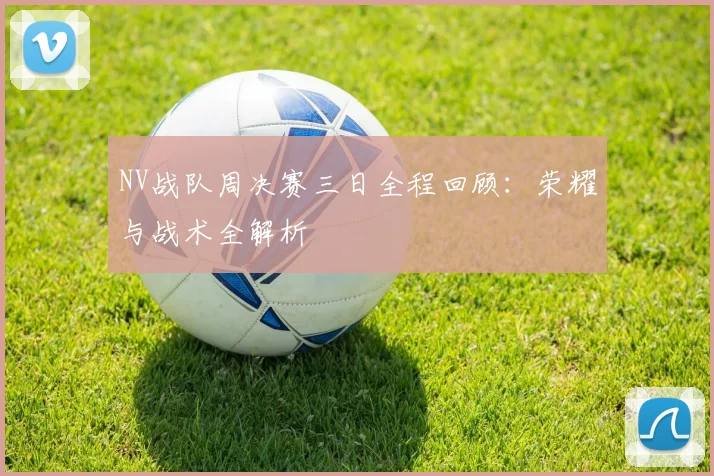 NV战队周决赛三日全程回顾：荣耀与战术全解析